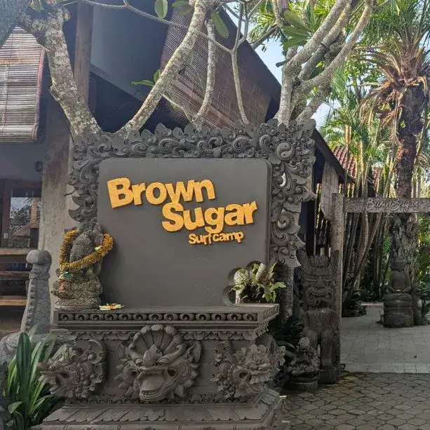 Brown Sugar Surf Camp