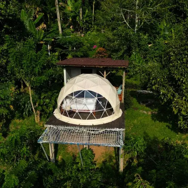 Bali Jungle Camping
