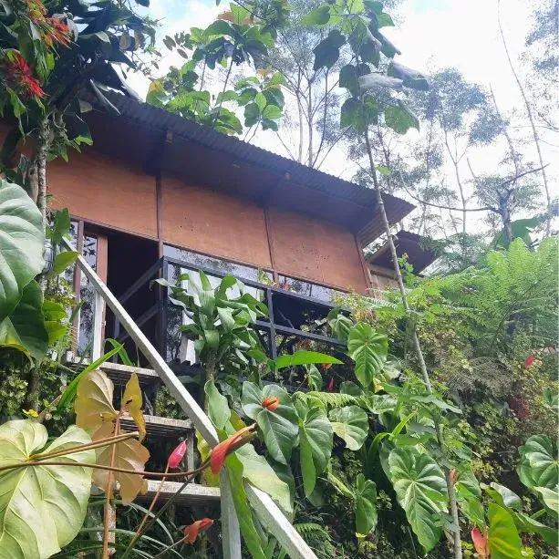 Jungle Adventure Cabin Camping